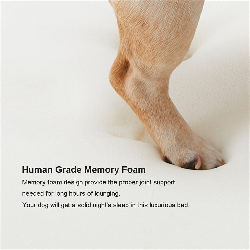 UFBemo Luxury Dog Couch Sofa Cat Bed Memory Foam for Puppy Pets Waterproof Solid for Small Large Dogs Removable Cover Suede