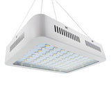 1000W LED Grow Light for Indoor Plants Full Spectrum Plant Growing Lights