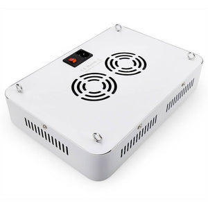 1000W LED Grow Light for Indoor Plants Full Spectrum Plant Growing Lights