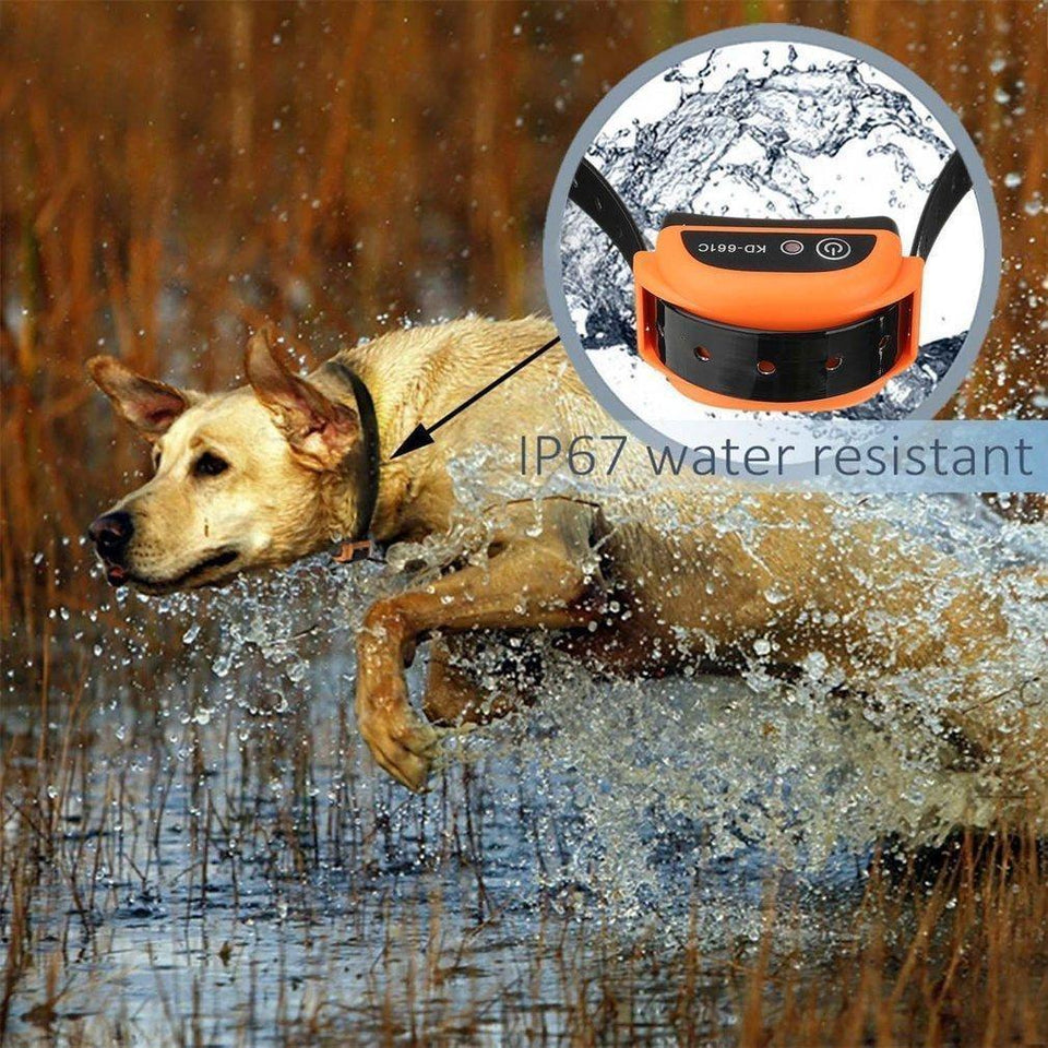 Wireless Dog Fence - Portable Dog Fence With Multiple Collar