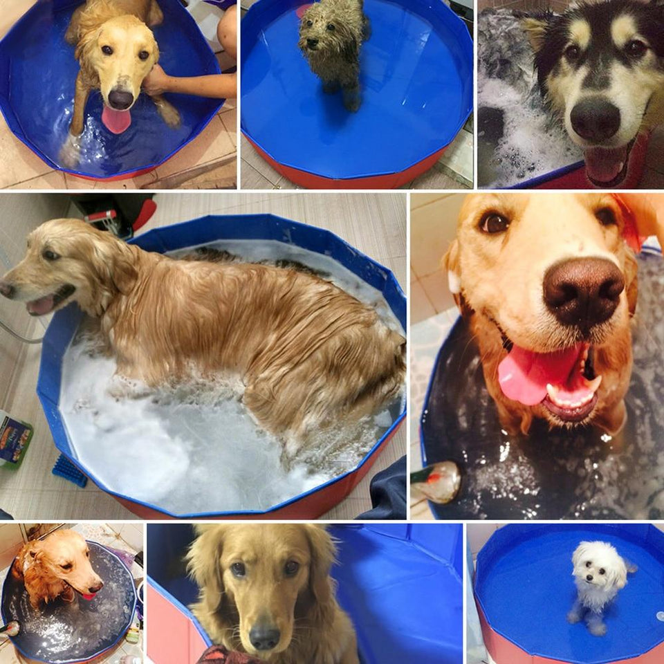 Foldable & Collapsible Pet Swimming Bath Pool