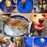Foldable & Collapsible Pet Swimming Bath Pool