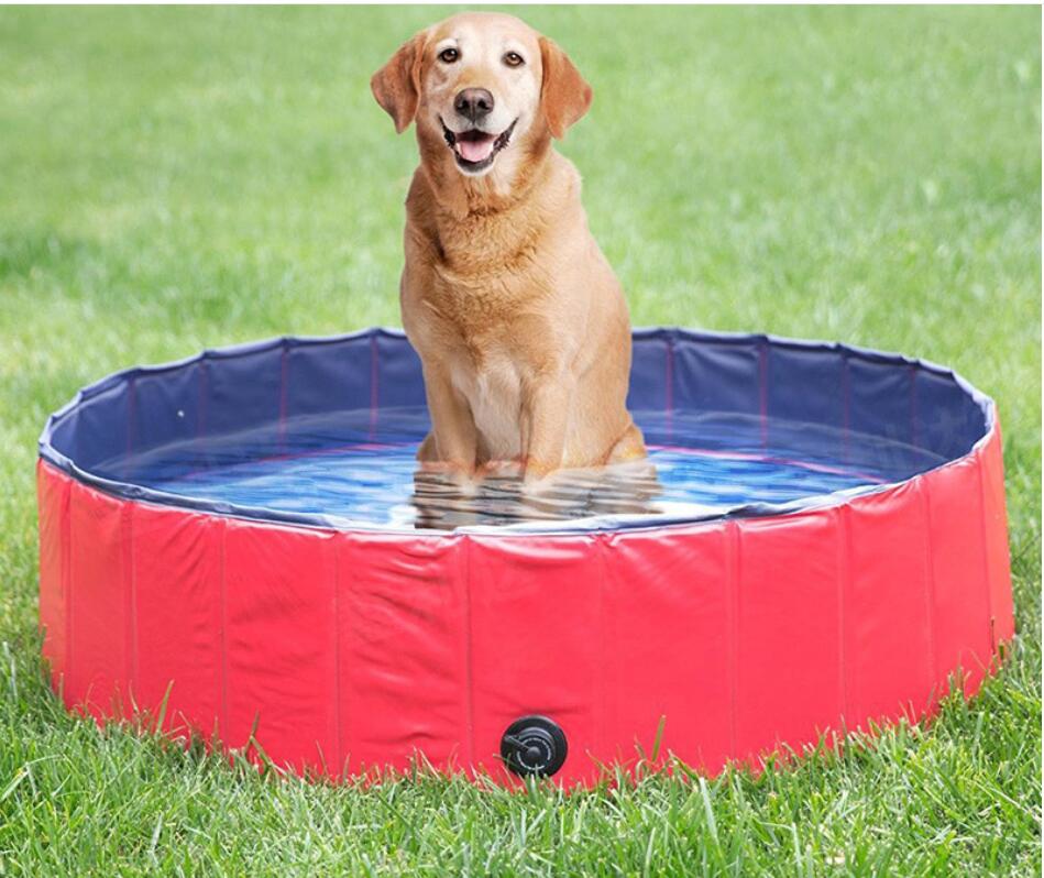Foldable & Collapsible Pet Swimming Bath Pool