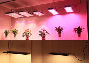 Phlizon Groeilamp 800 Watt Full Spectrum LED Grow Light Bar For Indoor Plant