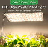1000W 2000W 4000W Quantum Grow Light Sunlike Full Spectrum LED Phyto Lamp for Plant Hydroponic Greenhouse VEG BLOOM Growth Light