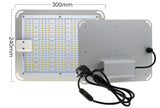 1000W 2000W 4000W Quantum Grow Light Sunlike Full Spectrum LED Phyto Lamp for Plant Hydroponic Greenhouse VEG BLOOM Growth Light