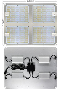 1000W 2000W 4000W Quantum Grow Light Sunlike Full Spectrum LED Phyto Lamp for Plant Hydroponic Greenhouse VEG BLOOM Growth Light