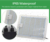 1000W 2000W 4000W Quantum Grow Light Sunlike Full Spectrum LED Phyto Lamp for Plant Hydroponic Greenhouse VEG BLOOM Growth Light