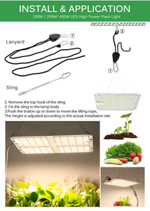 1000W 2000W 4000W Quantum Grow Light Sunlike Full Spectrum LED Phyto Lamp for Plant Hydroponic Greenhouse VEG BLOOM Growth Light