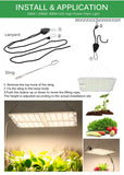1000W 2000W 4000W Quantum Grow Light Sunlike Full Spectrum LED Phyto Lamp for Plant Hydroponic Greenhouse VEG BLOOM Growth Light
