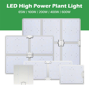 LED Grow Light Samsung LM281B 2000W 4000W 6000W Quantum Sunlike Full Spectrum Phyto Lamp For Greenhouse Plant Growth Lighting.
