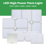 LED Grow Light Samsung LM281B 2000W 4000W 6000W Quantum Sunlike Full Spectrum Phyto Lamp For Greenhouse Plant Growth Lighting.