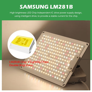 LED Grow Light Samsung LM281B 2000W 4000W 6000W Quantum Sunlike Full Spectrum Phyto Lamp For Greenhouse Plant Growth Lighting.
