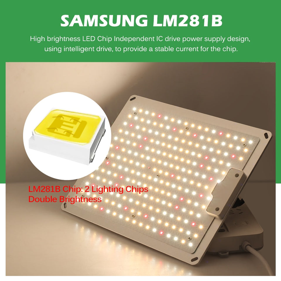 LED Grow Light Samsung LM281B 2000W 4000W 6000W Quantum Sunlike Full Spectrum Phyto Lamp For Greenhouse Plant Growth Lighting.