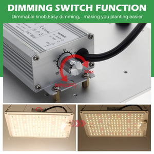 LED Grow Light Samsung LM281B 2000W 4000W 6000W Quantum Sunlike Full Spectrum Phyto Lamp For Greenhouse Plant Growth Lighting.