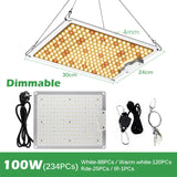 LED Grow Light Samsung LM281B 2000W 4000W 6000W Quantum Sunlike Full Spectrum Phyto Lamp For Greenhouse Plant Growth Lighting.