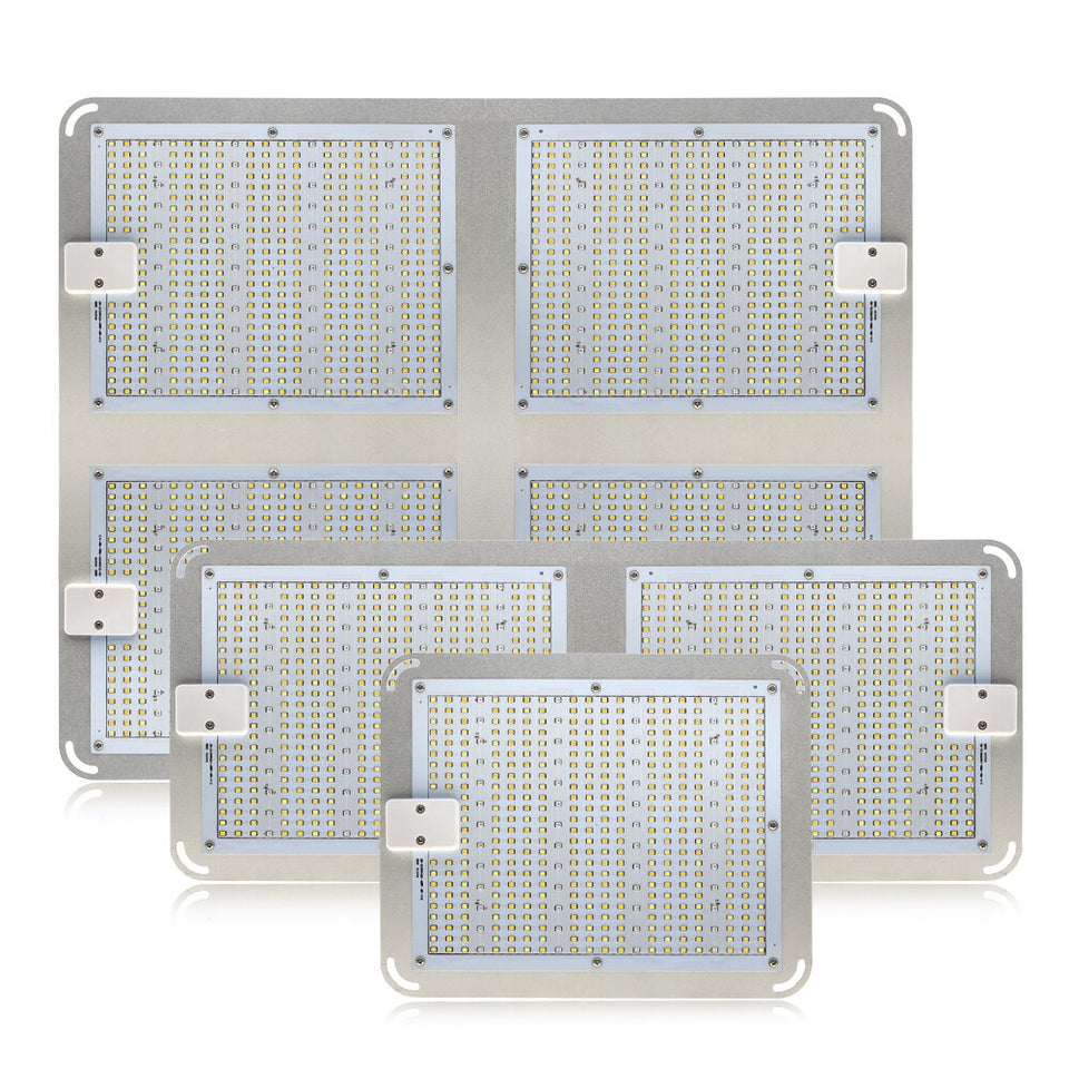 1000W 2000W 4000W Quantum Grow Light Sunlike Full Spectrum LED Phyto Lamp for Plant Hydroponic Greenhouse VEG BLOOM Growth Light
