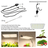 1000W 2000W 4000W Quantum Grow Light Sunlike Full Spectrum LED Phyto Lamp for Plant Hydroponic Greenhouse VEG BLOOM Growth Light