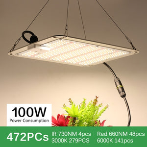 1000W 2000W 4000W Quantum Grow Light Sunlike Full Spectrum LED Phyto Lamp for Plant Hydroponic Greenhouse VEG BLOOM Growth Light