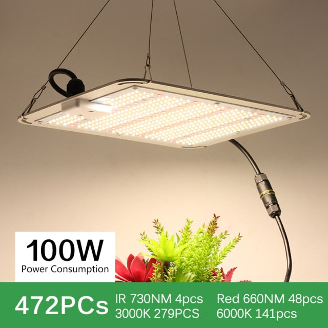1000W 2000W 4000W Quantum Grow Light Sunlike Full Spectrum LED Phyto Lamp for Plant Hydroponic Greenhouse VEG BLOOM Growth Light