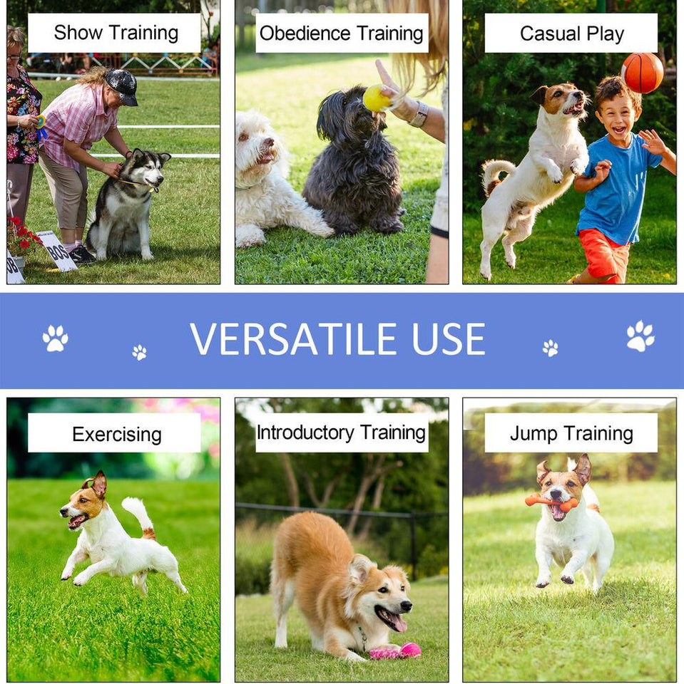 Dog Pet Agility Training Equipment 3 Piece Starter Course Set