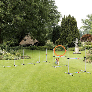 Dog Pet Agility Training Equipment 3 Piece Starter Course Set